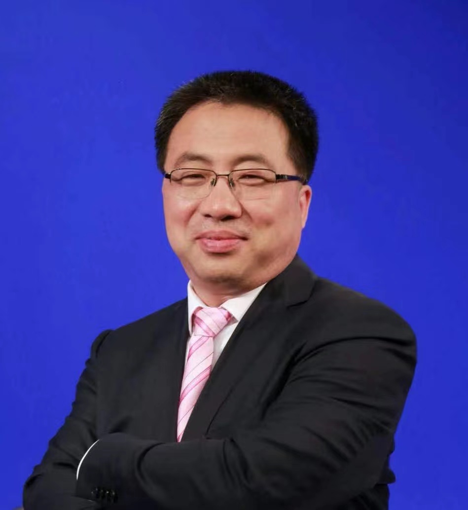 深入领会党的二十大精神，维护和塑造国家安全